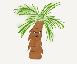 The Trouble with Palm Oil