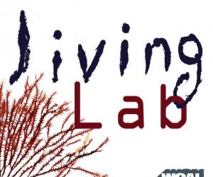 Marina & the GWE go live on Living Lab !