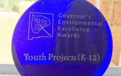 The GWE Wins Governor’s Award!!