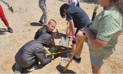 Manzano Mesa Elementary Plants local, drought-resistant trees for Earth Day!