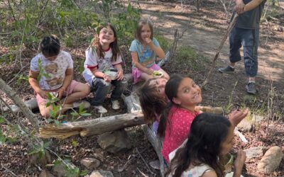 Acequia Madre Global WE kids go to the Audubon Center!!!